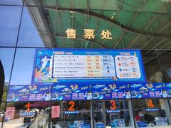 -合肥海洋世界