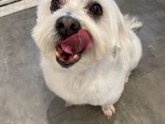 -PETKIT小佩宠物(古北店)