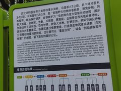 -武汉动物园