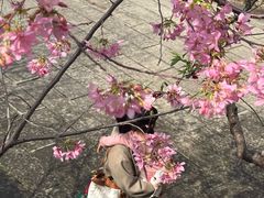 -乌山风景区