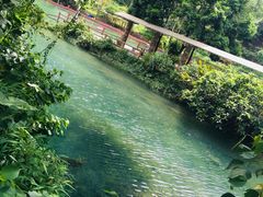 景点-紫云谷景区