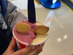 -莉莉熊Lililove Gelato (意大利手工冰淇淋)