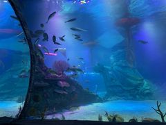 -沈阳海洋探索中心