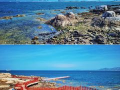 -养马岛旅游度假区