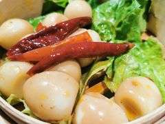 -王婆乔鲜鱼自助火锅(蜀汉路店)