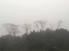 -千岛湖石林