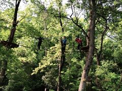 -WeLope紫金山探险公园