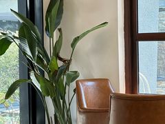 -Willing·Coffee&Brunch&Dinner(万达店)