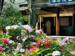 -窦大夫祠