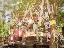 -陶然花园·婚宴