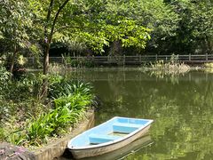 -广州市帽峰山景区