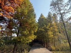 -溱湖国家湿地公园