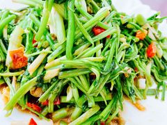 -柘林湖生态鱼馆