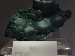 -湖南省地质博物馆