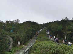 -梧桐山风景名胜区