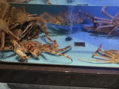 -阿伟海鲜楼·福建菜(延寿店)