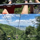 岳麓山风光一般，但索道很出片