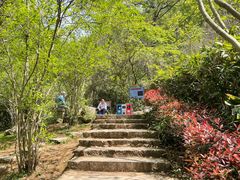-南京市江宁方山
