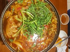 -第二外国语学院-韩国餐厅(朝阳路店)