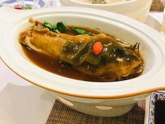 红烧豚鱼-肆月河豚·新淮扬(金融街店)