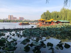 -济南大明湖景区