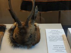 -北京服装学院民族服饰博物馆
