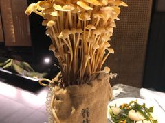 活体菌菇-麻路成都火锅(柏威年店)