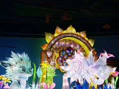 -海合安武汉极地海洋公园