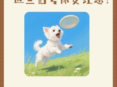 -佩兹宠物医院肿瘤专科·眼科·牙科(黄浦店)