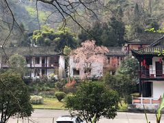 -青城山
