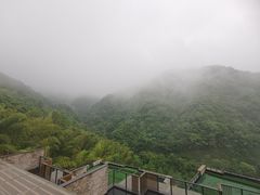 -宁海安岚·南溪阁全日餐厅