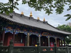 -护国法轮寺