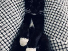 -中国工商银行(江苏省分行营业部)