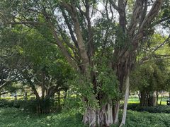 -大嶝英雄三岛战地观光园