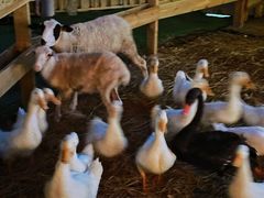 -HERRE·FARM 赫尔露营农场·团建聚会包场