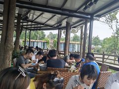 -洪湖家庭农场·团建·露营·会议