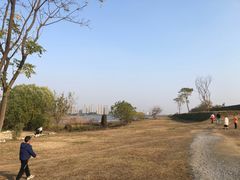 -盘龙城国家考古遗址公园