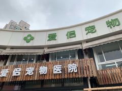 -爱侣宠医·鹦鹉专科·小型哺乳类·异宠专科(灵石路店)
