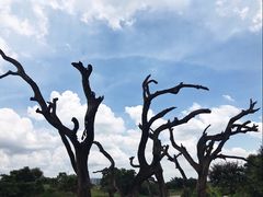 -鹤之洲湿地公园