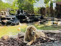 -北京野生动物园