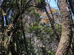-鸡枕山