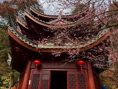 -韬光茶庵
