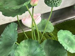 -金茂览秀城