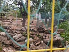 -丽泽山庄·生态怀柔菜·虹鳟鱼(红螺寺店)