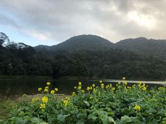 -广州市流溪河国家森林公园