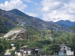 -万达广场(龙湾店)