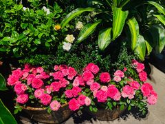 -春暖花开(西溪店)