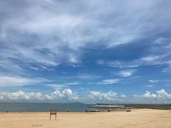 -喜上喜鸡煲翅(吉大店)