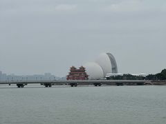 -野狸岛
