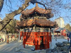 -北京艺术博物馆(万寿寺)